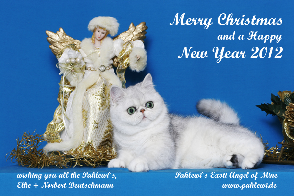 Weihnacht - englisch - 2012