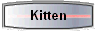 Kitten